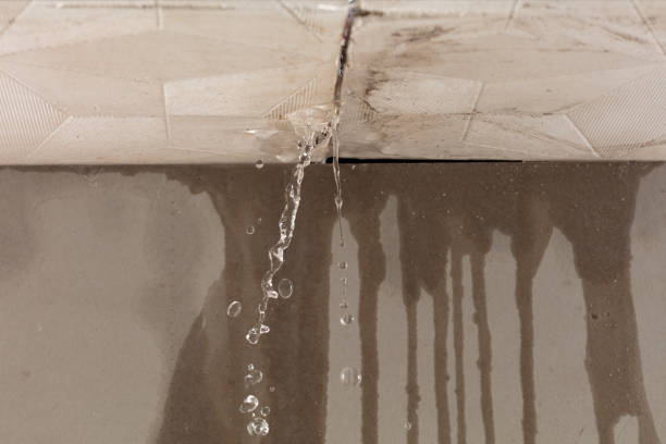 Professional Water Extraction technician working in Dresden, OH